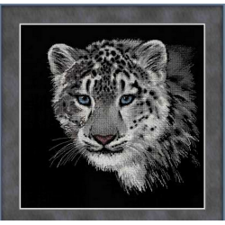 Kit Snow leopard