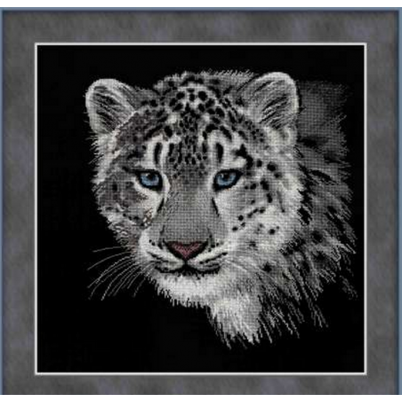 Kit Snow leopard