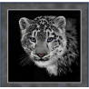 Kit Snow leopard