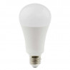 15 W ES Daylight LED Bulb