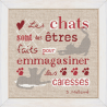 Fiche Les chats