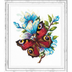 Ki Peacock butterfly