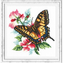 Ki Swallowtail butterfly