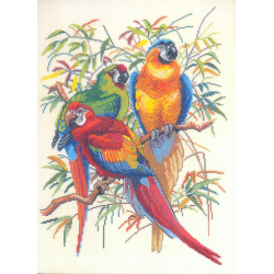 Kit Perroquets