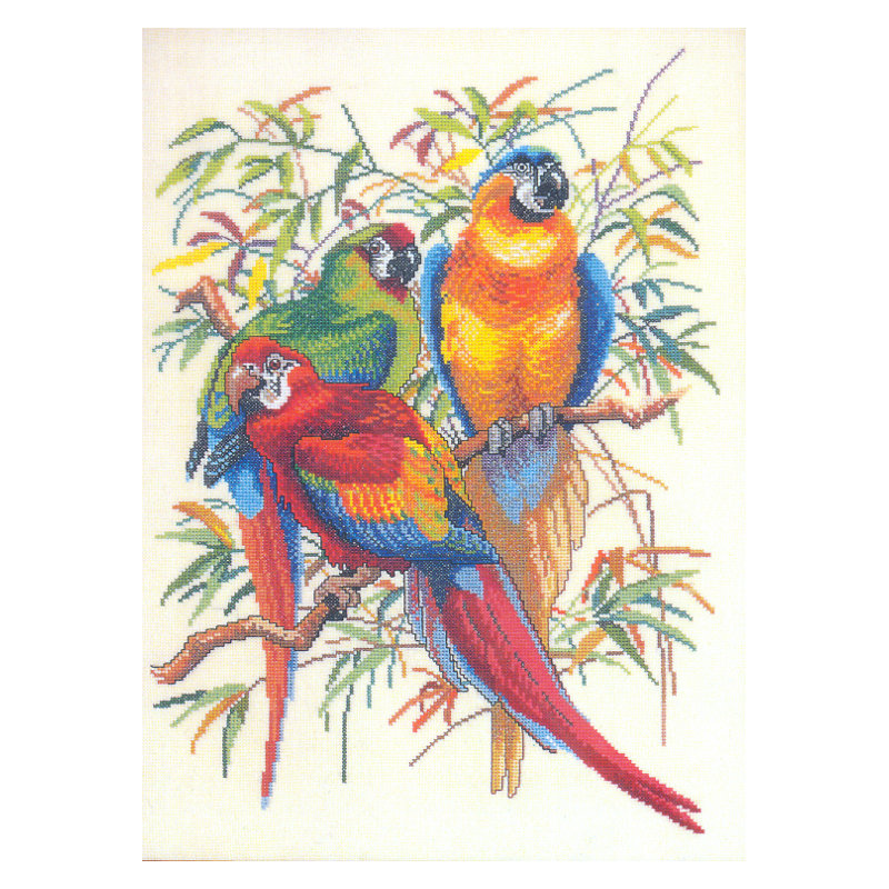 Kit Perroquets
