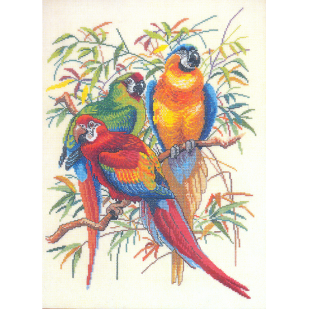 Kit Perroquets