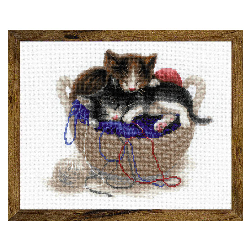 Kit Chatons dans un panier