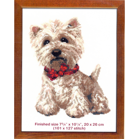 Kit west Highland white