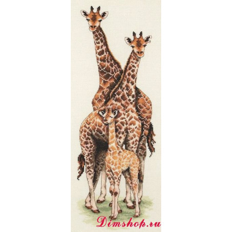 Kit Giraffe family