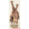 Kit Giraffe family
