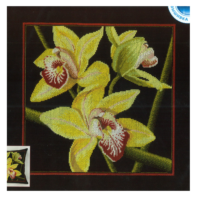 Kit Orchids cymbidium