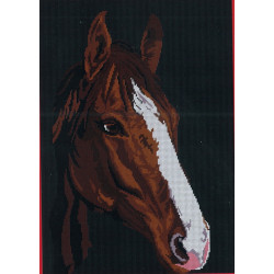 Kit Cheval