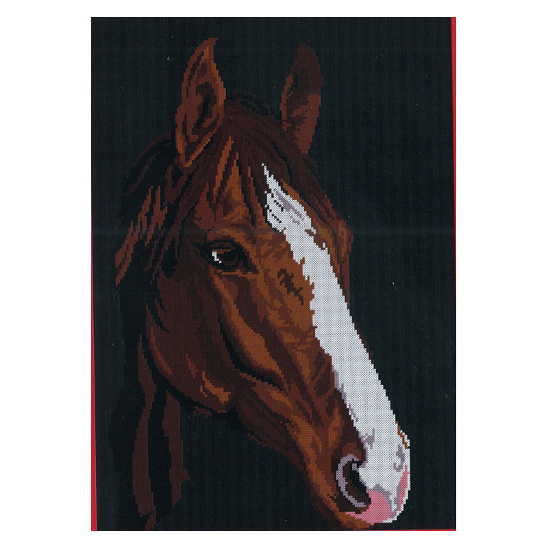 Kit Cheval