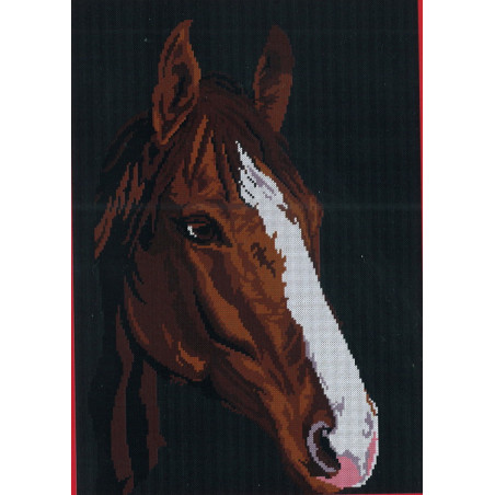 Kit Cheval