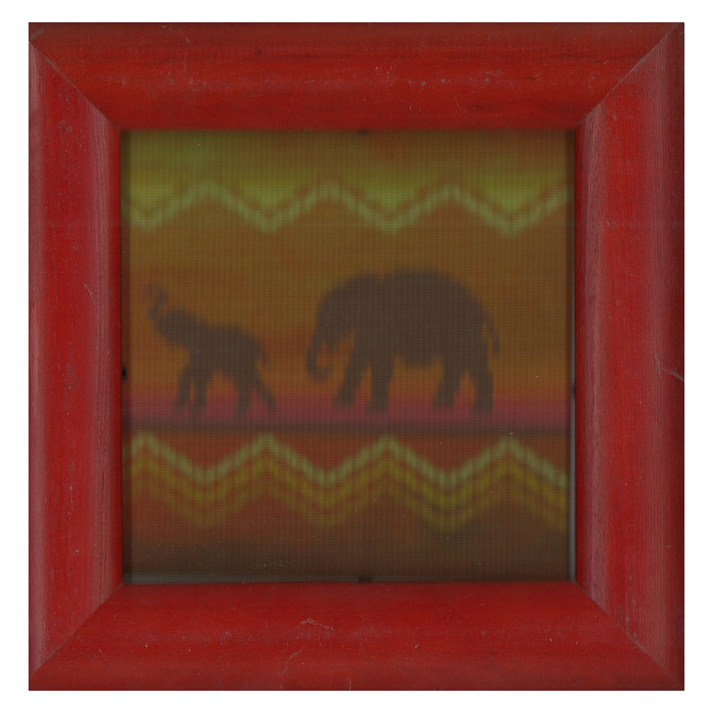 Canevas imprimé Eléphants