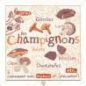 Fiche de Lili points Les champignons