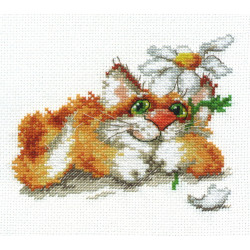 Kit I\'m dreaming .....