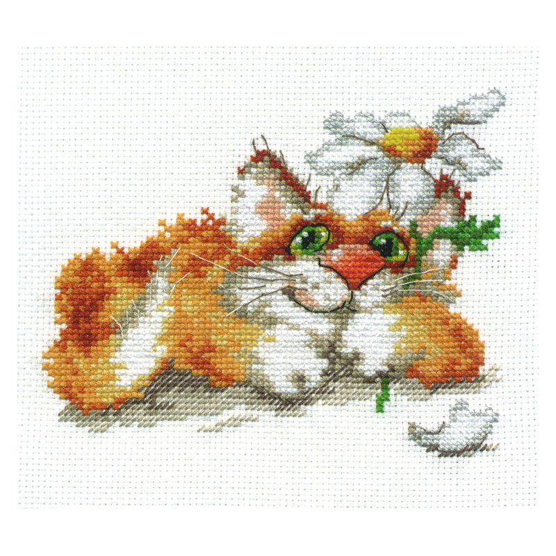 Kit I\'m dreaming .....