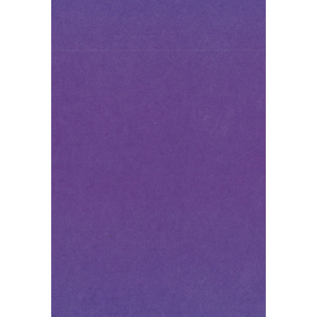 Feutrine violette