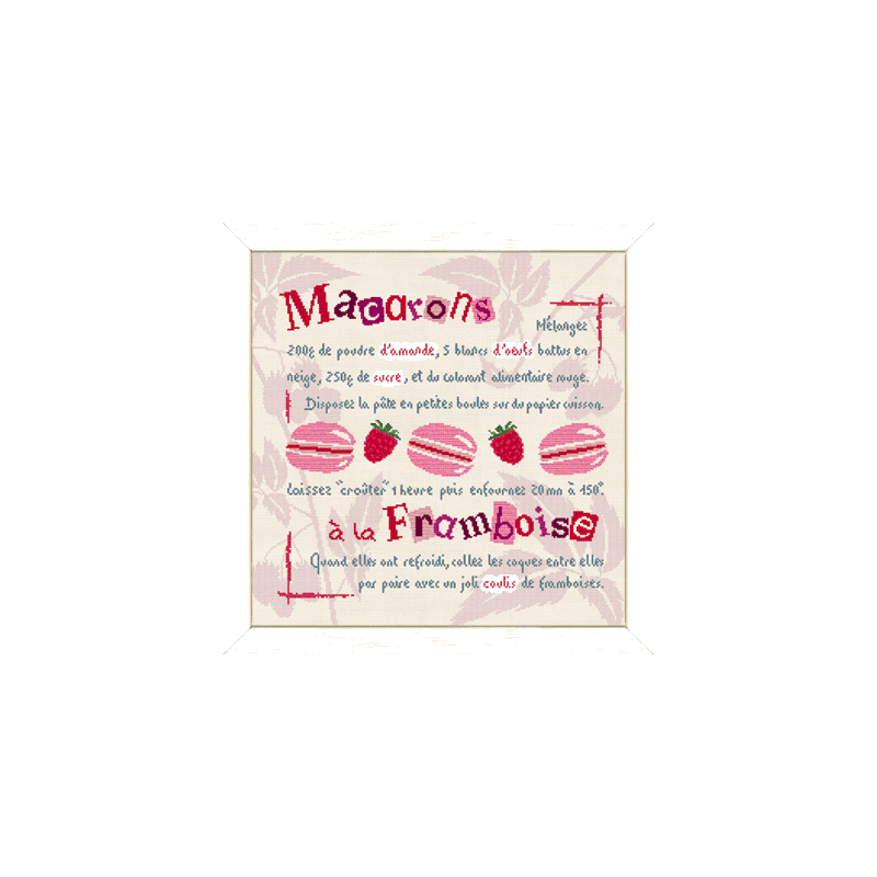 Fiche de Lili points Macarons à la framboise