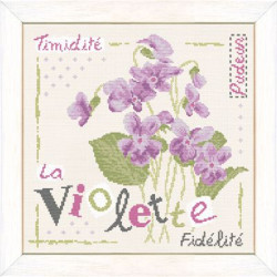 Fiche de Lili points la violette