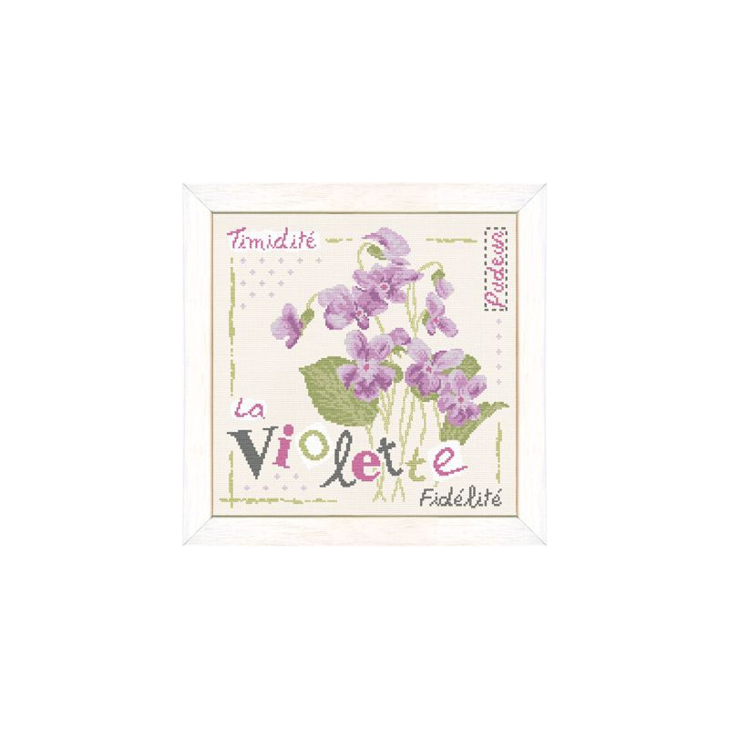 Fiche de Lili points la violette