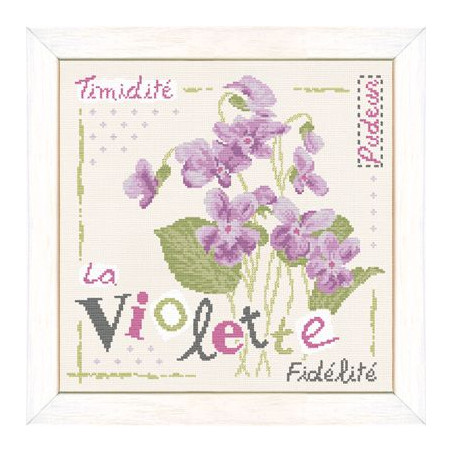 Fiche de Lili points la violette