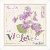 Fiche de Lili points la violette