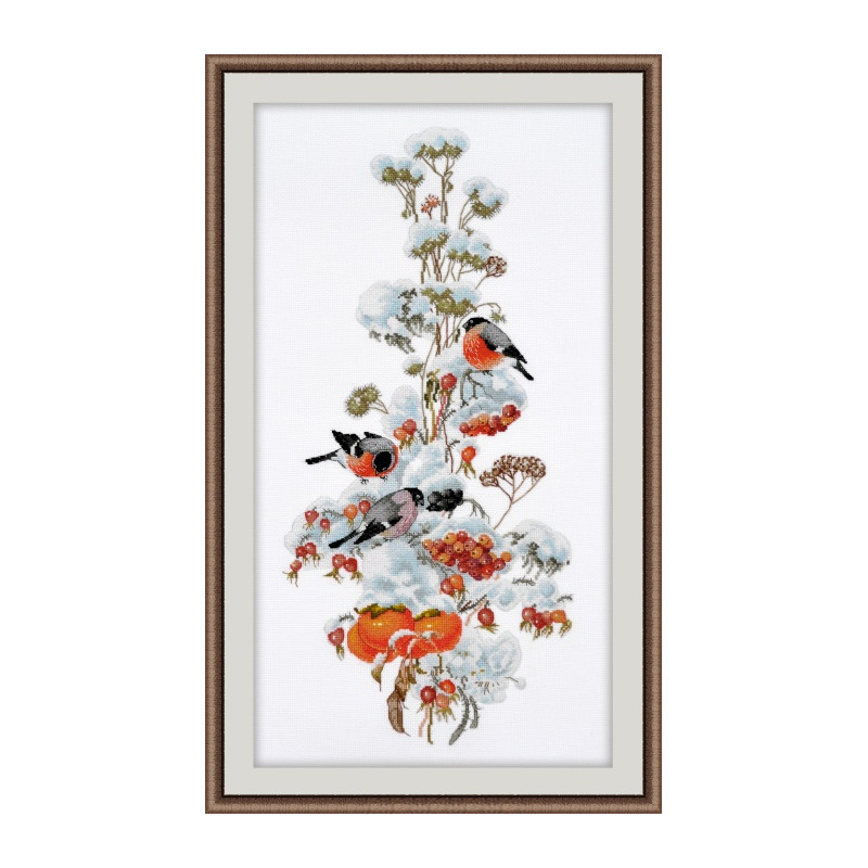 Kit oiseaux en hiver