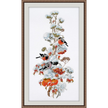 Kit oiseaux en hiver