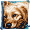 Chien