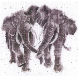 Kit Age is Irrelephant