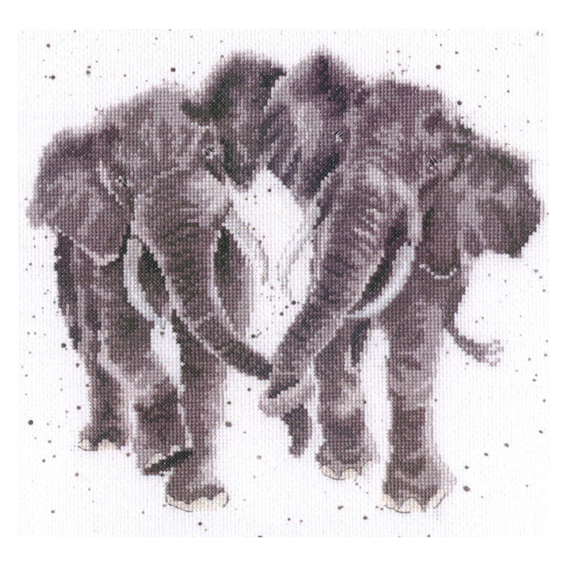 Kit Age is Irrelephant