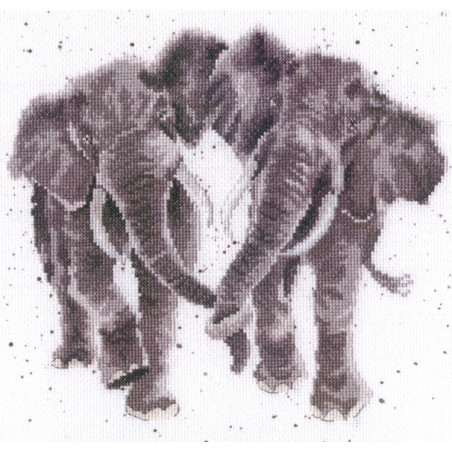 Kit Age is Irrelephant