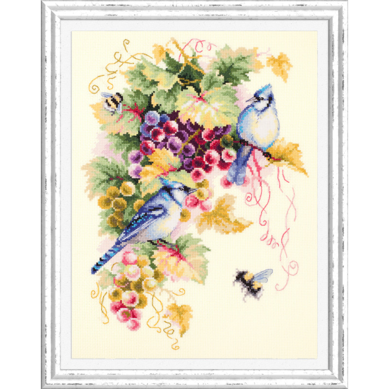 Kit Blue Jay and Grapes