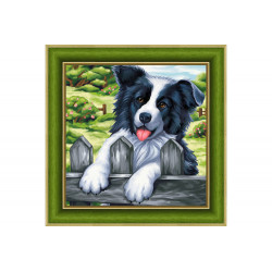 Diamond Painting Border collie