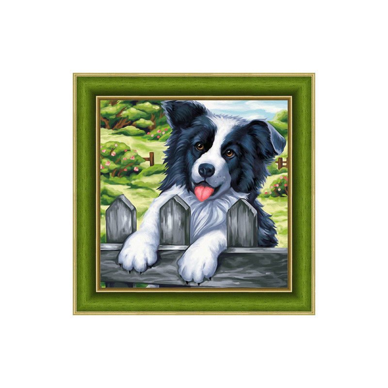 Diamond Painting Border collie