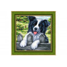 Diamond Painting Border collie