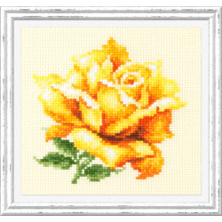 Kit Yellow Rose