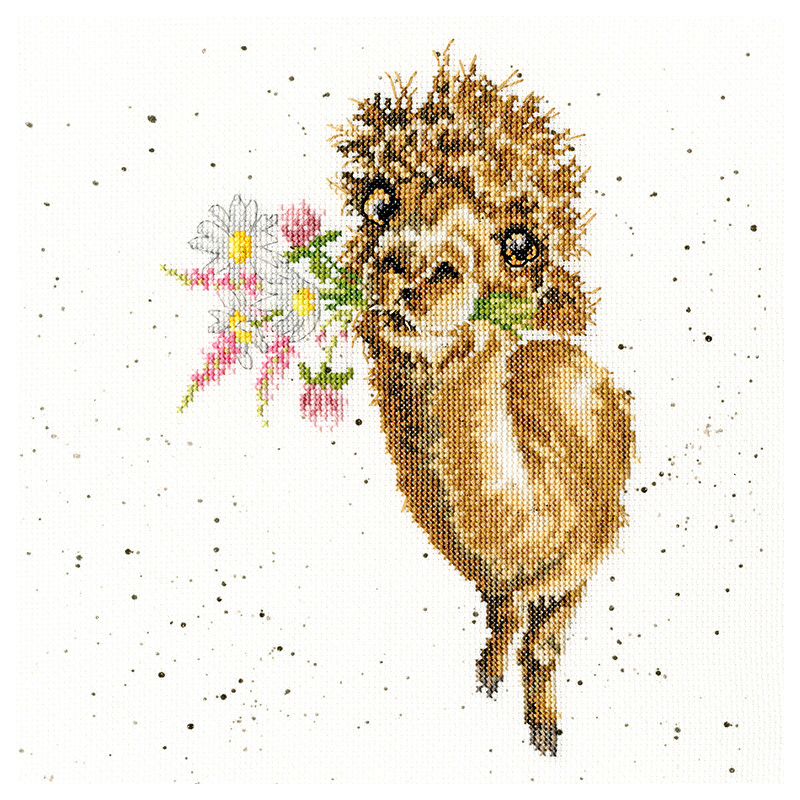 Kit Hand-Picked For You