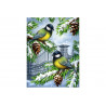 Diamond Painting Oiseaux