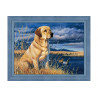 Diamond Painting Labrador