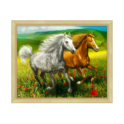 Diamond Painting Chevaux dans le pré