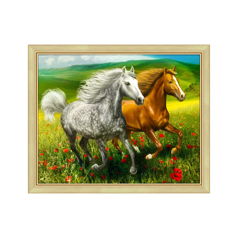 Diamond Painting Chevaux dans le pré