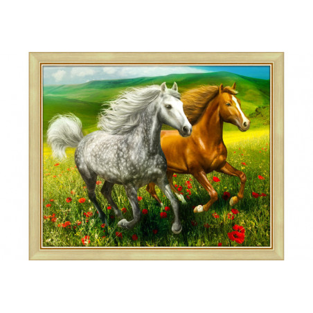 Diamond Painting Chevaux dans le pré