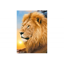 Diamond Painting Lion King