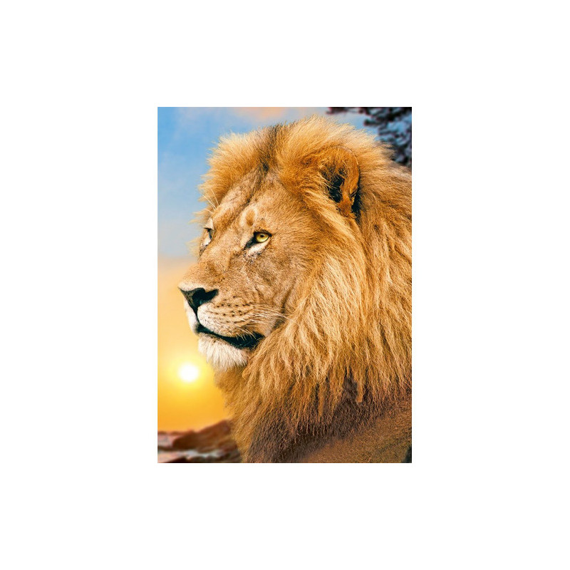 Diamond Painting Lion King