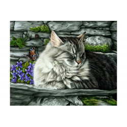 Diamond Painting Missed butterfly