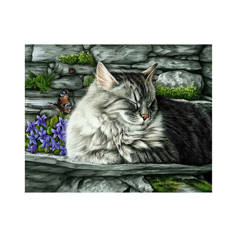 Diamond Painting Missed butterfly