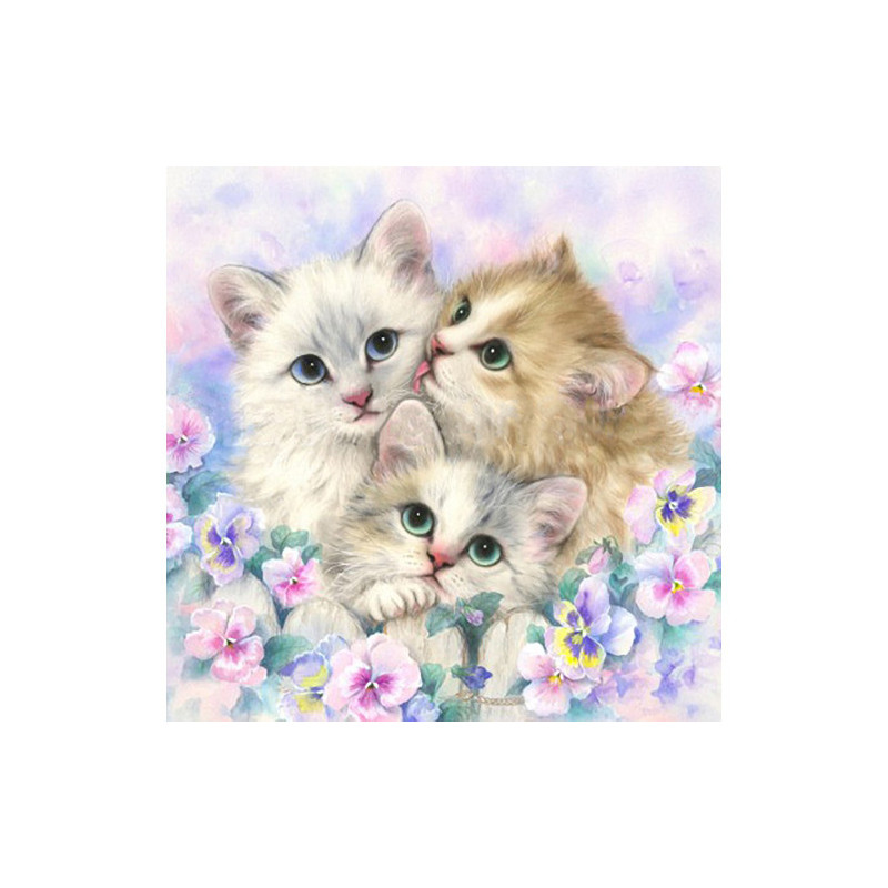 Kit Diamond painting Day Dreamers